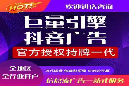 电商平台信息流广告的创意与执行案例分析